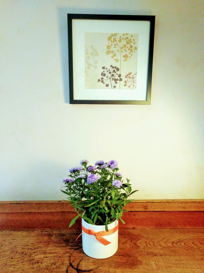 Homestay Cambridge Farmers Outlet *