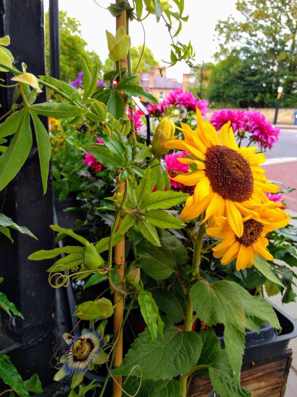 Homestay Cambridge Farmers Outlet *